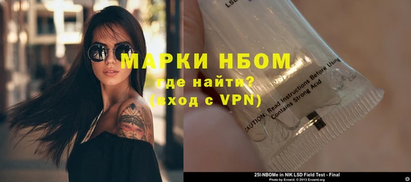 твердый Бородино