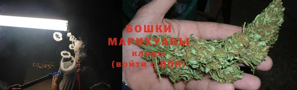 твердый Бородино