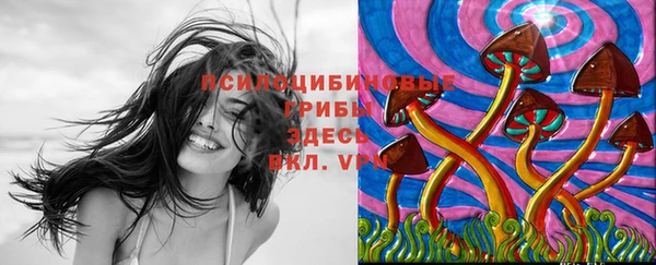 хмурый Богданович