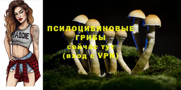 2c-b Бугульма