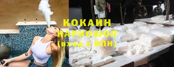 твердый Бородино