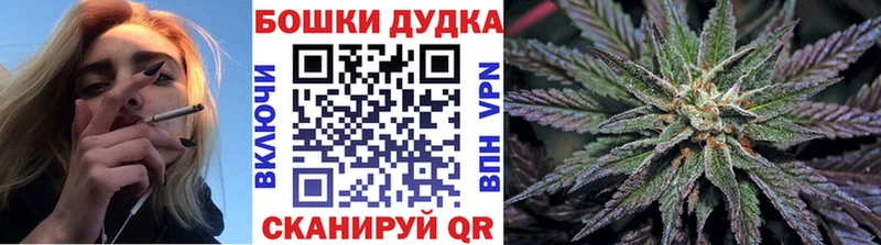 Купить где  Киржач  Бошки марихуана THC 21% 
